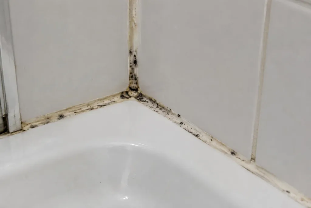 Kitbedrijf Wekerom – beschimmelde kitranden